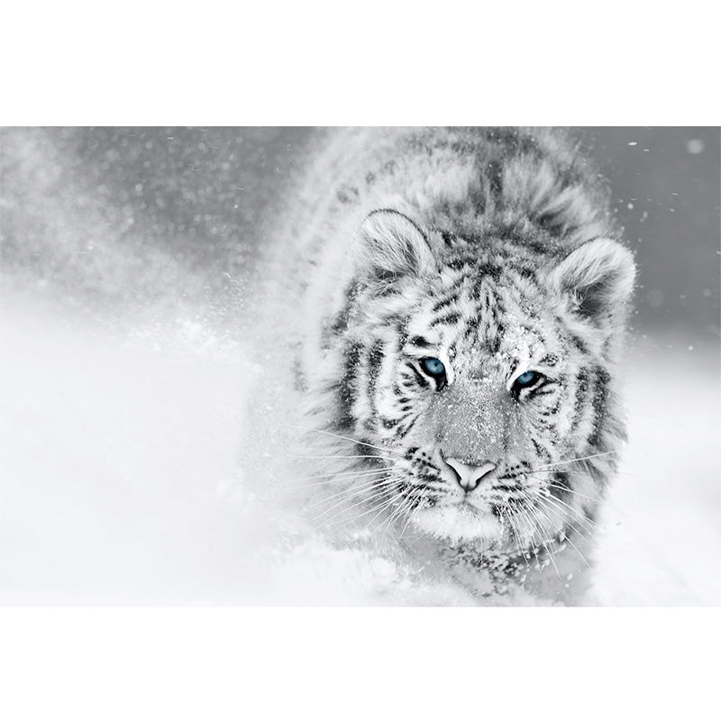 Snow Tiger freeshipping - Beautiful Spaces Store