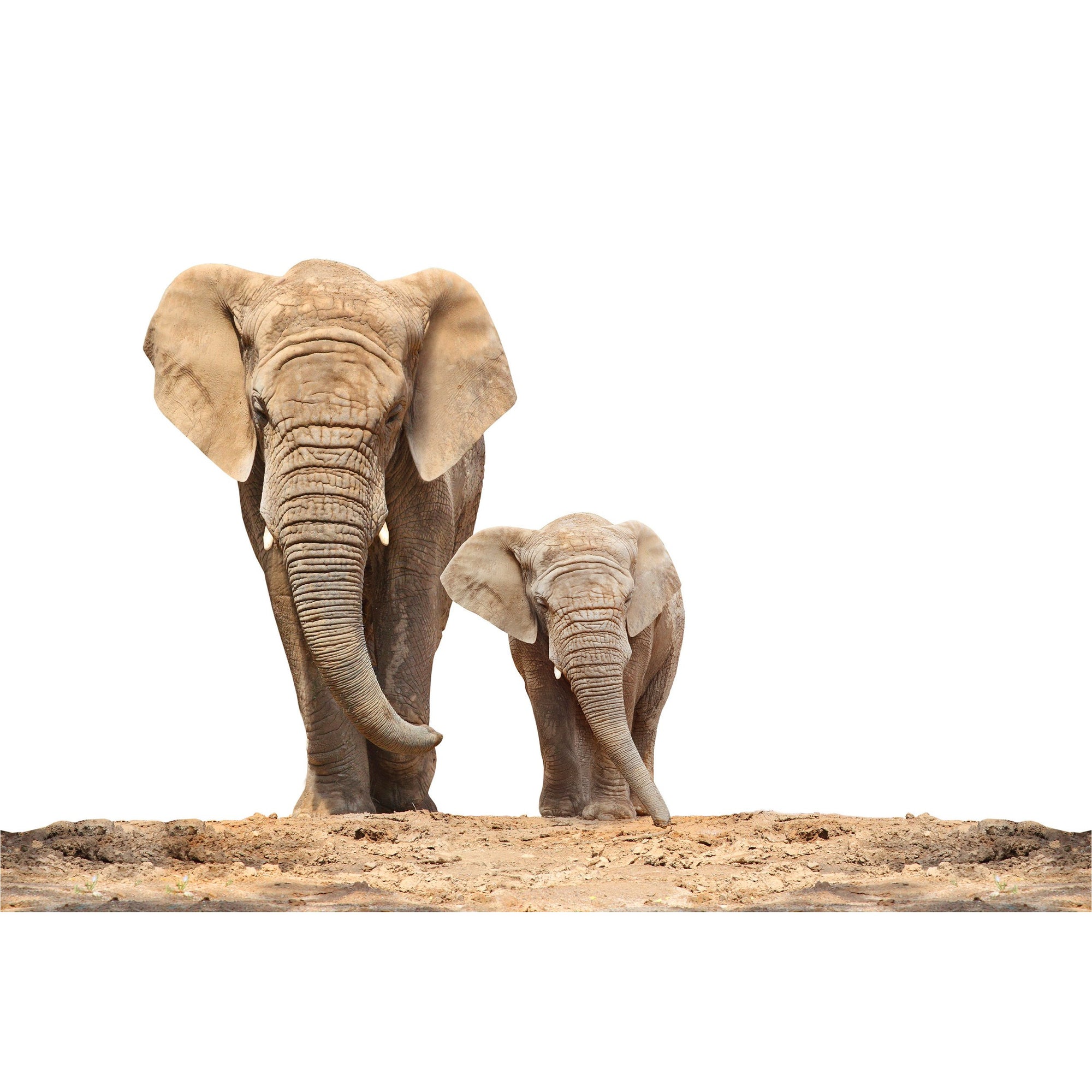 Elephant Mother and Child freeshipping - Beautiful Spaces Store