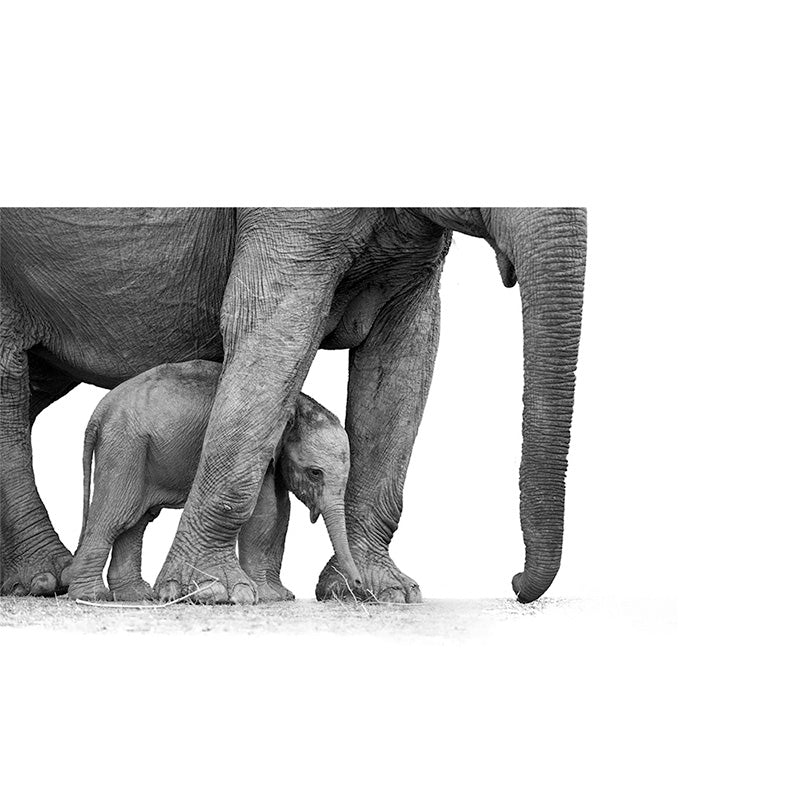 Mom &amp; Baby Elephant freeshipping - Beautiful Spaces Store