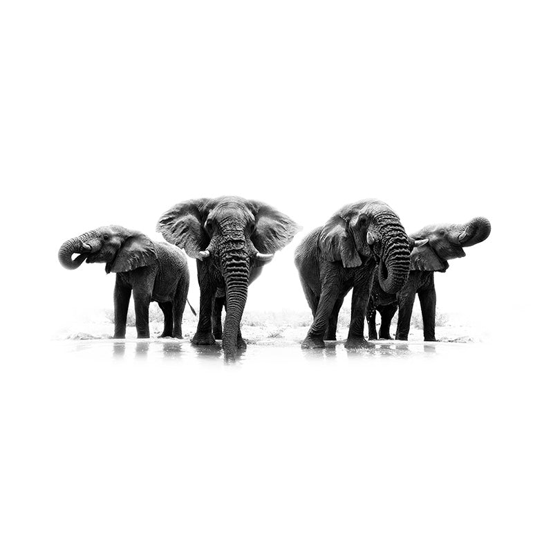 Elephants freeshipping - Beautiful Spaces Store