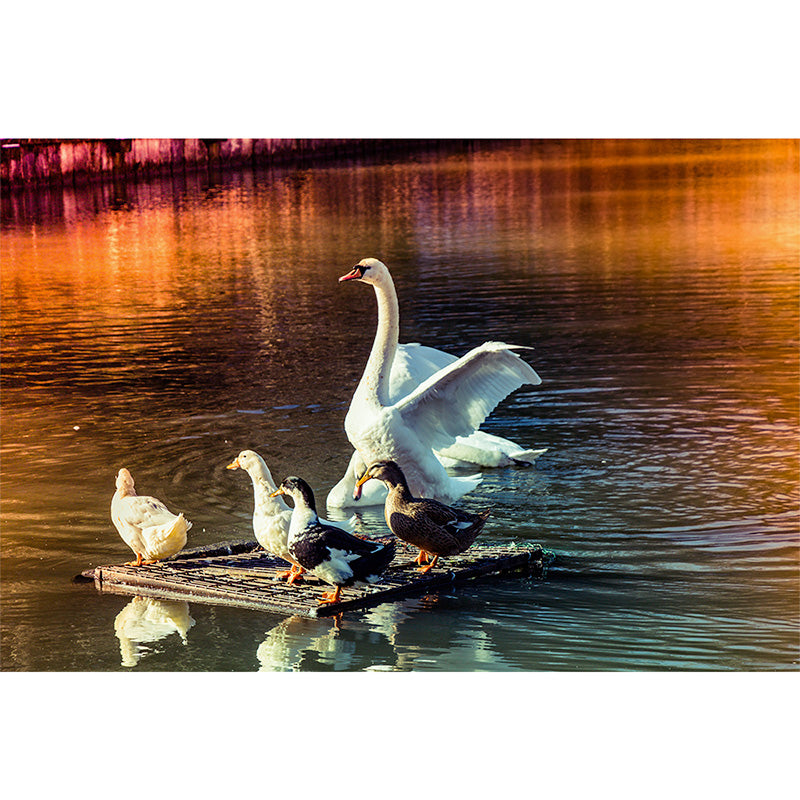 Swan Family freeshipping - Beautiful Spaces Store