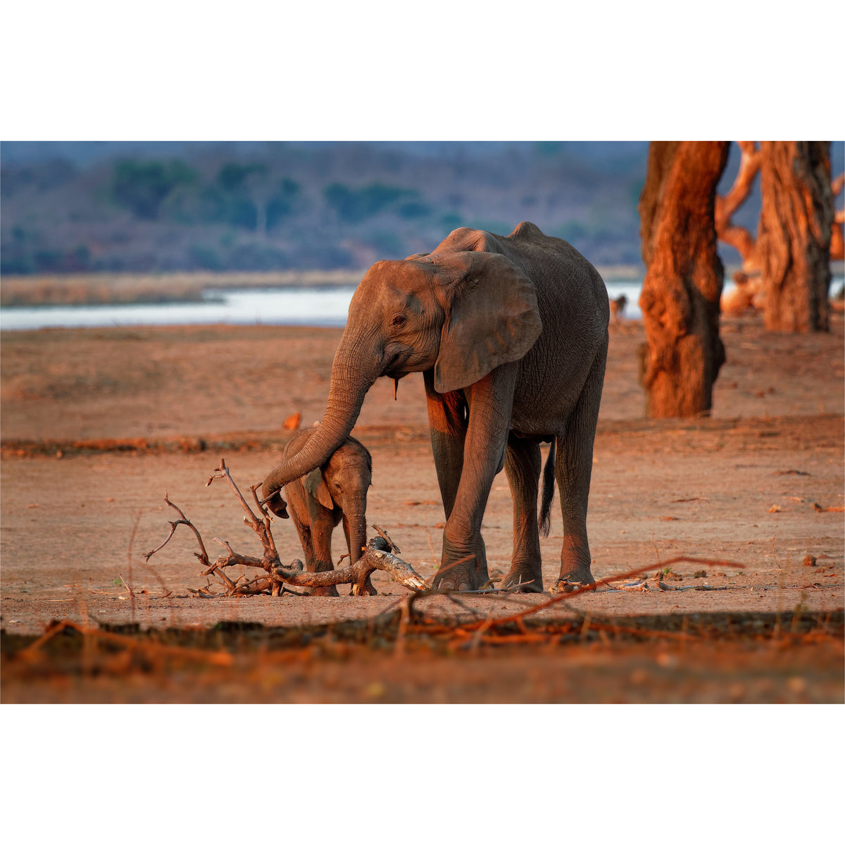 Sun Set Mother &amp; Child Ellies