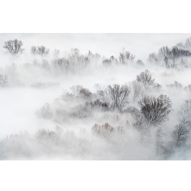 Misty Treetops freeshipping - Beautiful Spaces Store