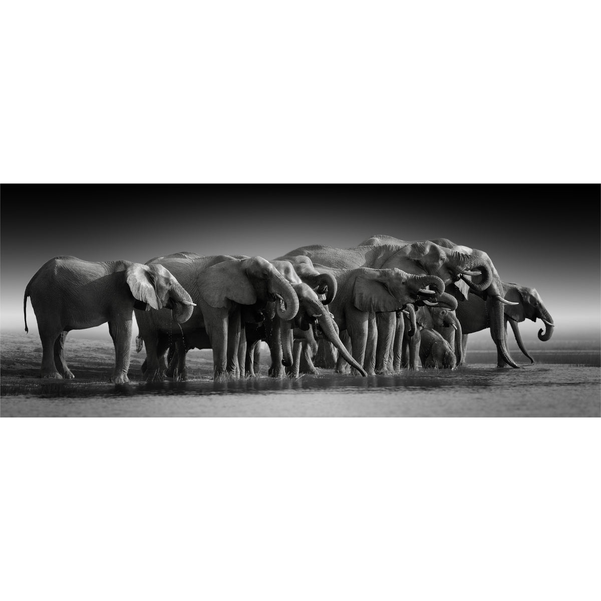 Elephant Family freeshipping - Beautiful Spaces Store