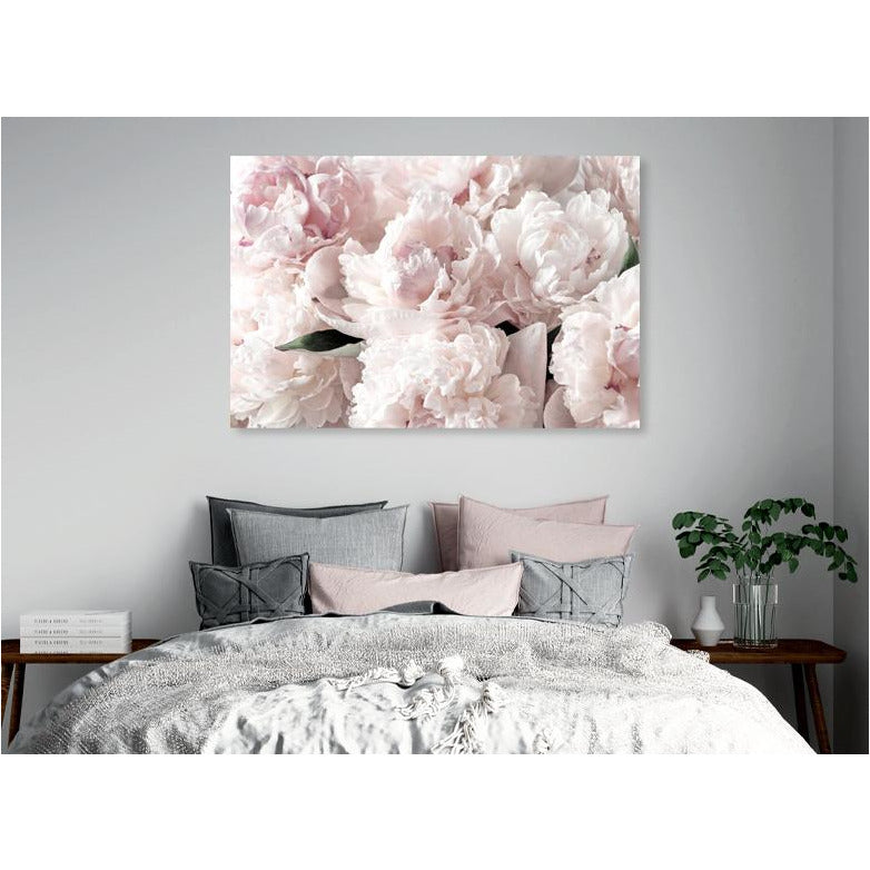 Pale Pink Peony Canvas