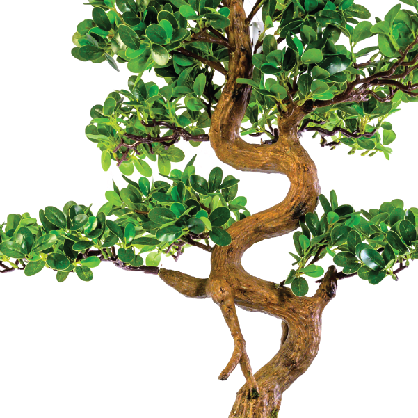 Bonsai Tree 68cm freeshipping - Beautiful Spaces Store