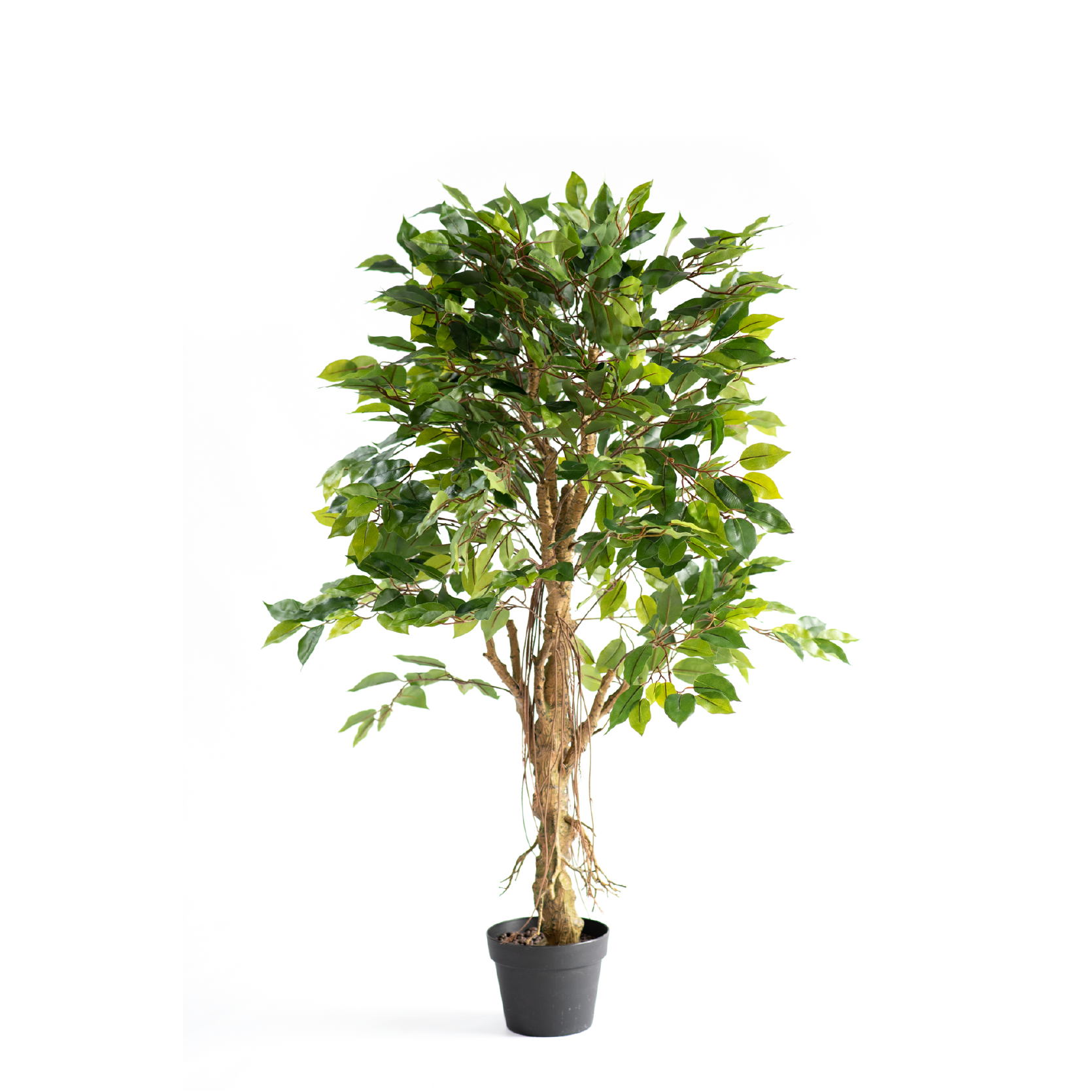 Ficus Tree Real Touch 120cm freeshipping - Beautiful Spaces Store