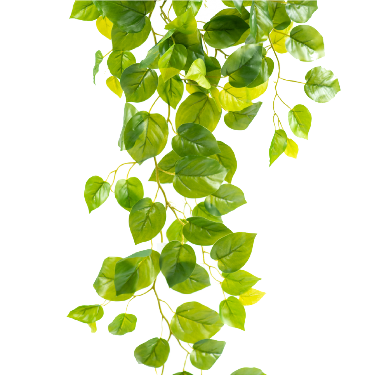 Hanging Pothos Bush 107cm freeshipping - Beautiful Spaces Store