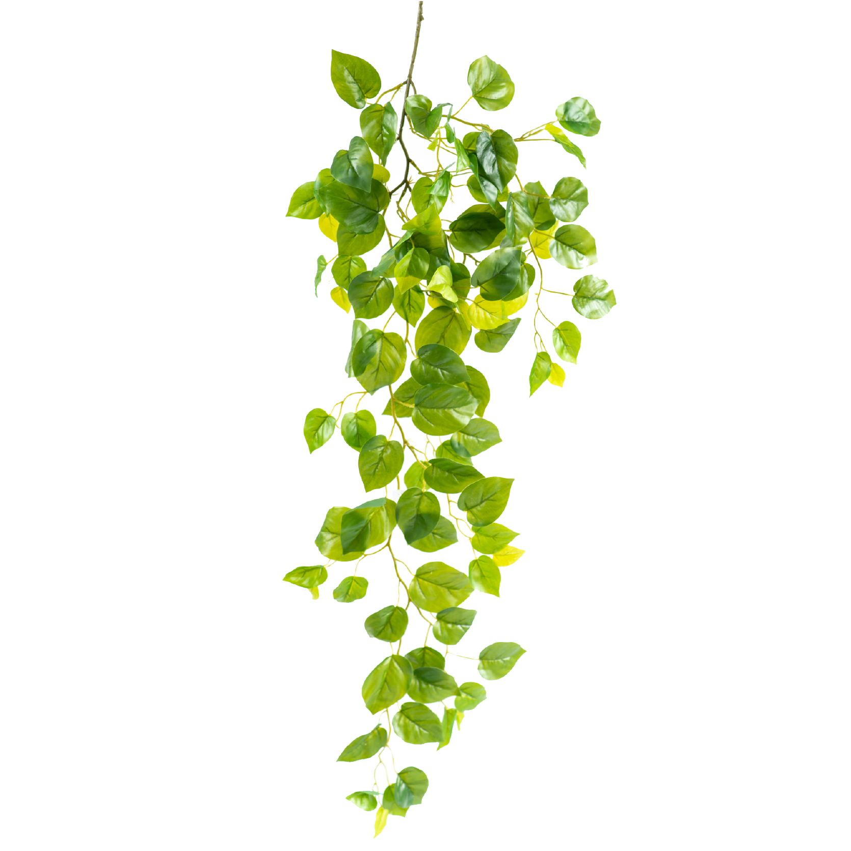 Hanging Pothos Bush 107cm freeshipping - Beautiful Spaces Store