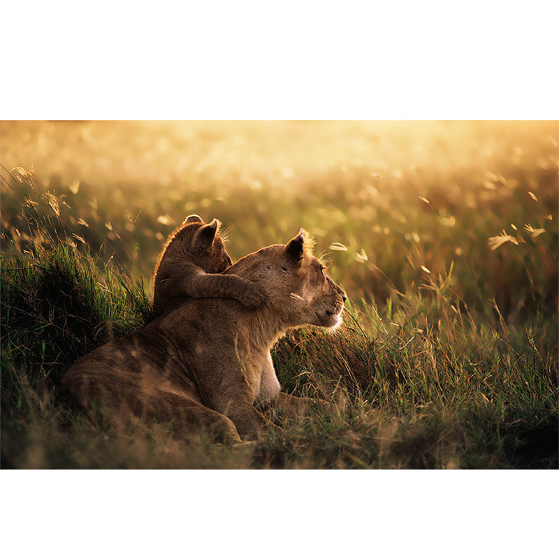 Lioness and Cub freeshipping - Beautiful Spaces Store