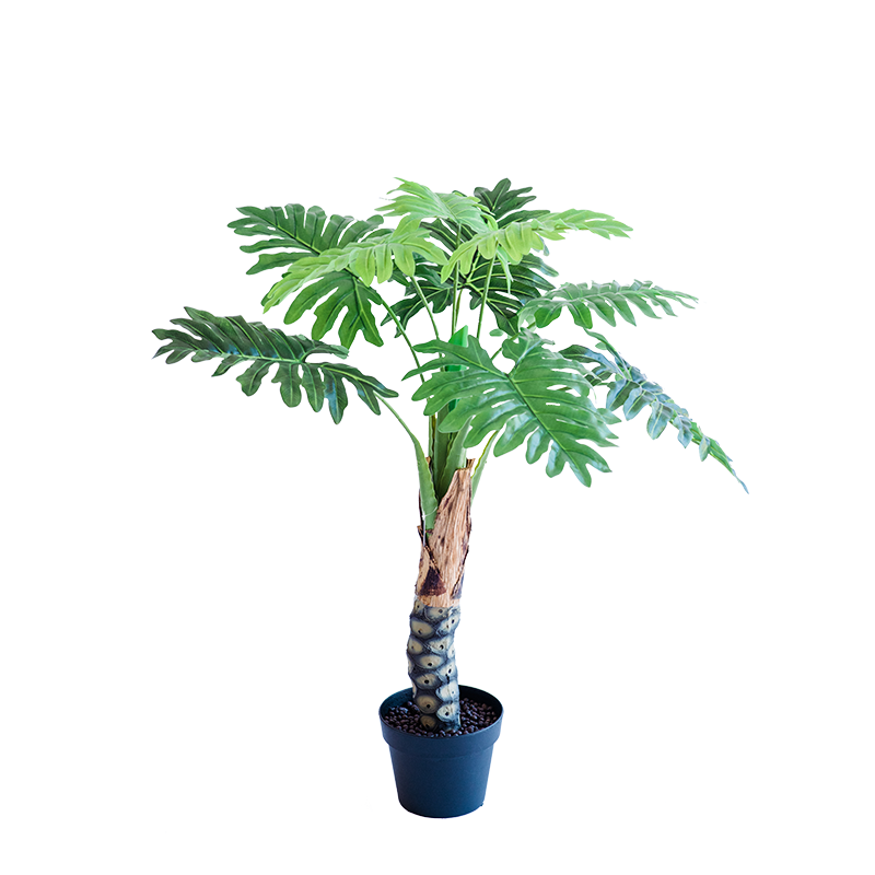 Philodendron 90cm freeshipping - Beautiful Spaces Store