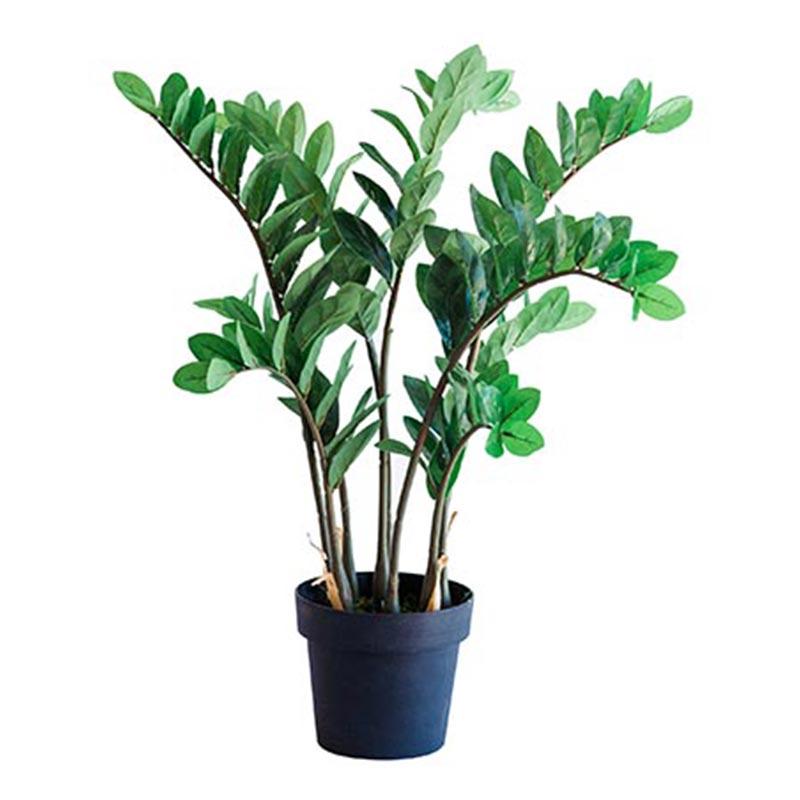 Zamifolia 87cm freeshipping - Beautiful Spaces Store