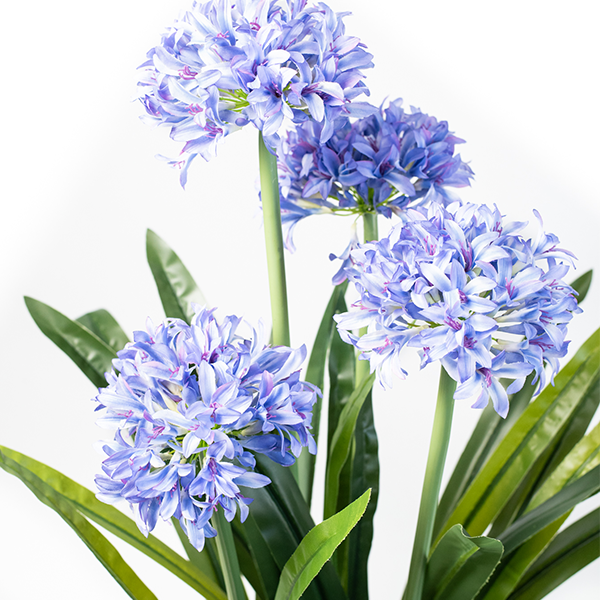 Agapanthus 103cm freeshipping - Beautiful Spaces Store