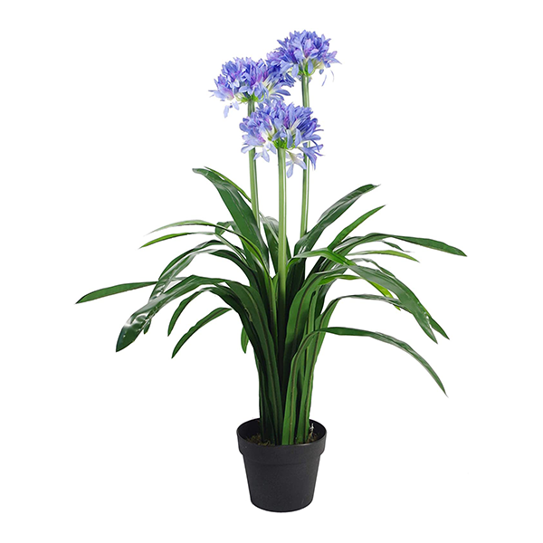 Agapanthus 103cm freeshipping - Beautiful Spaces Store