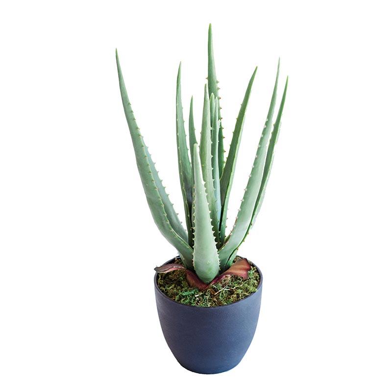 Aloe 44cm freeshipping - Beautiful Spaces Store