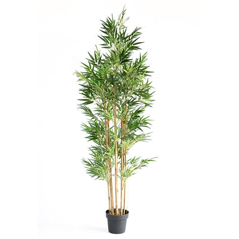 Bamboo Tree 180cm freeshipping - Beautiful Spaces Store