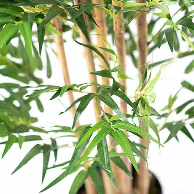 Bamboo Tree 180cm freeshipping - Beautiful Spaces Store