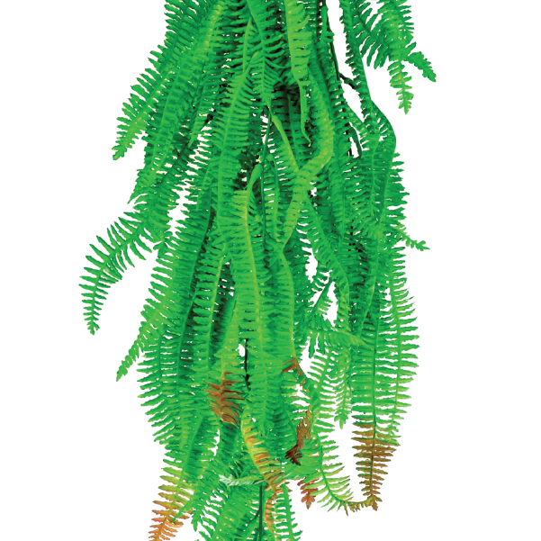 Hanging Boston Fern 78cm freeshipping - Beautiful Spaces Store