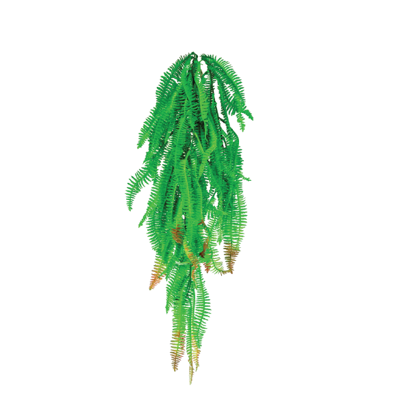 Hanging Boston Fern 78cm freeshipping - Beautiful Spaces Store