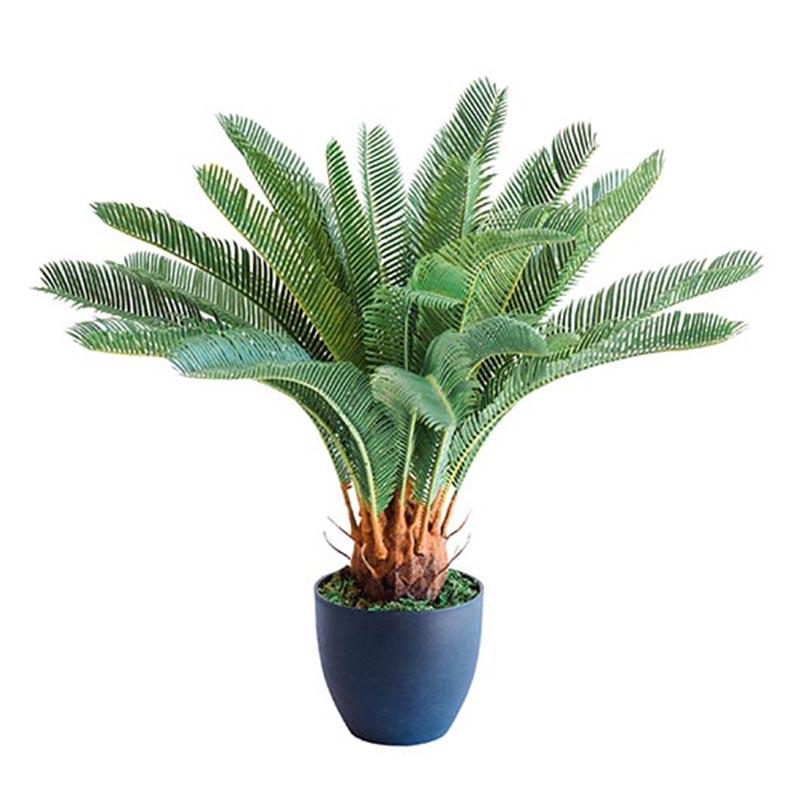 Cycas 72cm freeshipping - Beautiful Spaces Store