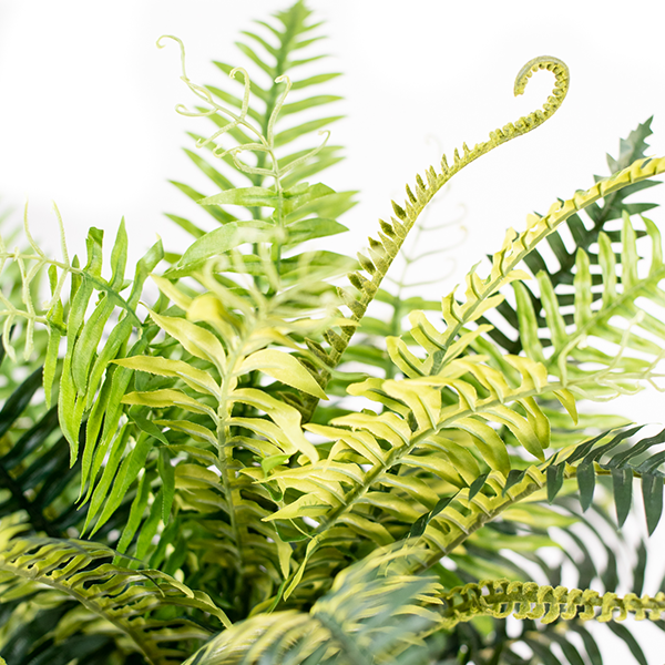 Fern Horse Tail 75cm freeshipping - Beautiful Spaces Store