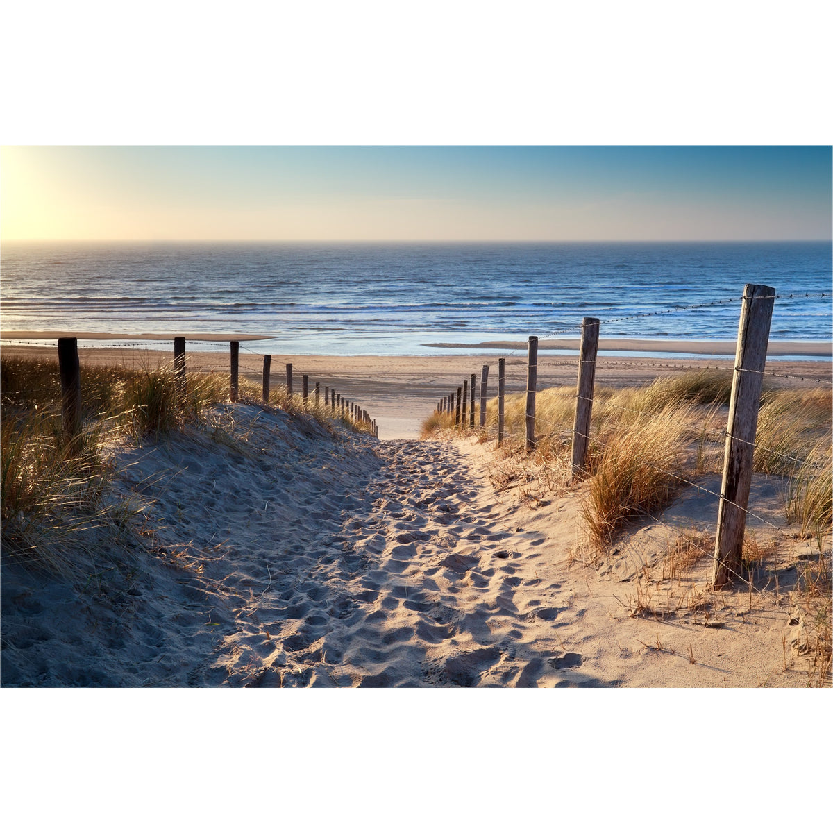 Beach Walkway