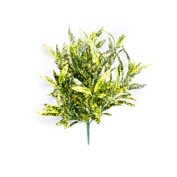 Spotted Spider Bush 45cm freeshipping - Beautiful Spaces Store