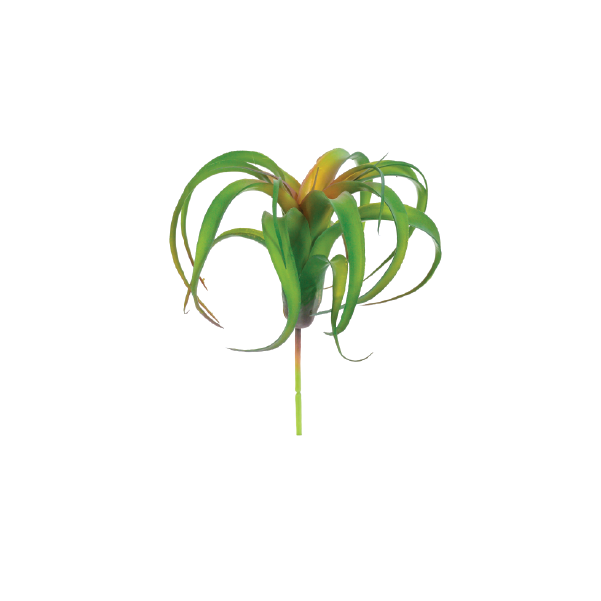 Succulent Airplant 26cm freeshipping - Beautiful Spaces Store