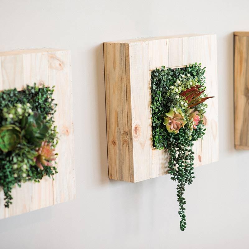 Wall Box Timber with Succulents freeshipping - Beautiful Spaces Store